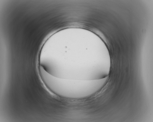 X0000108481387200905011153