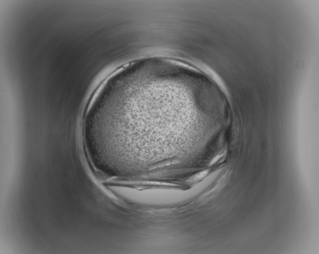 X0000108481389200905011153