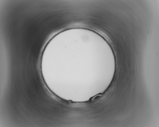 X0000108481392200905011153