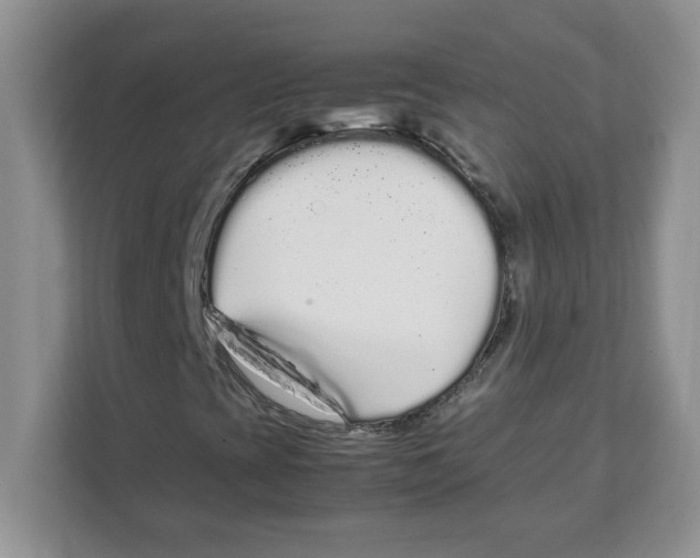 X0000108481393200905011152