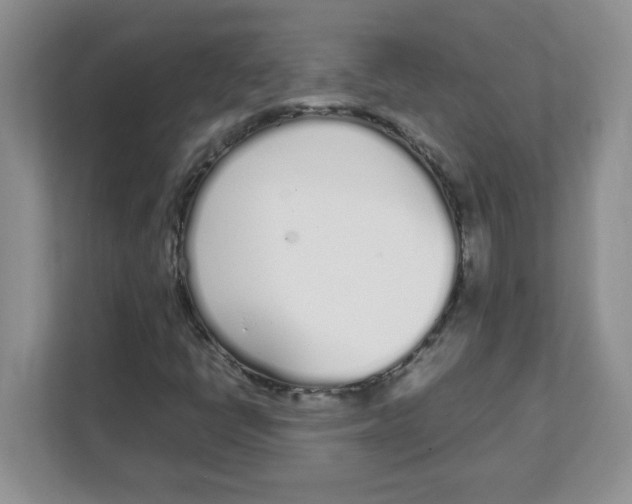 X0000108481398200905011152