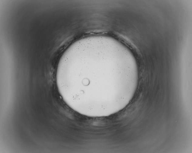 X0000108481399200905011152