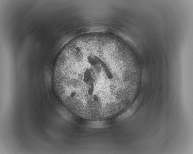 X0000108481401200905011152