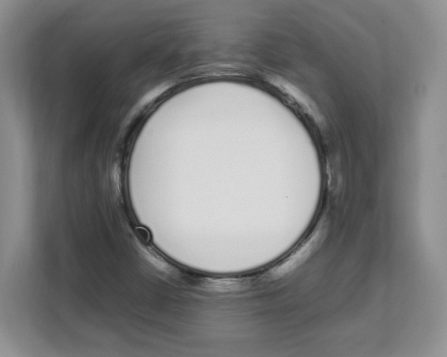 X0000108481402200905011152