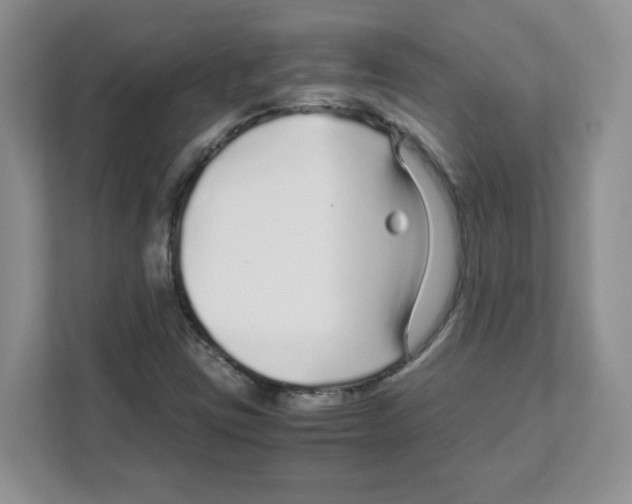 X0000108481403200905011152