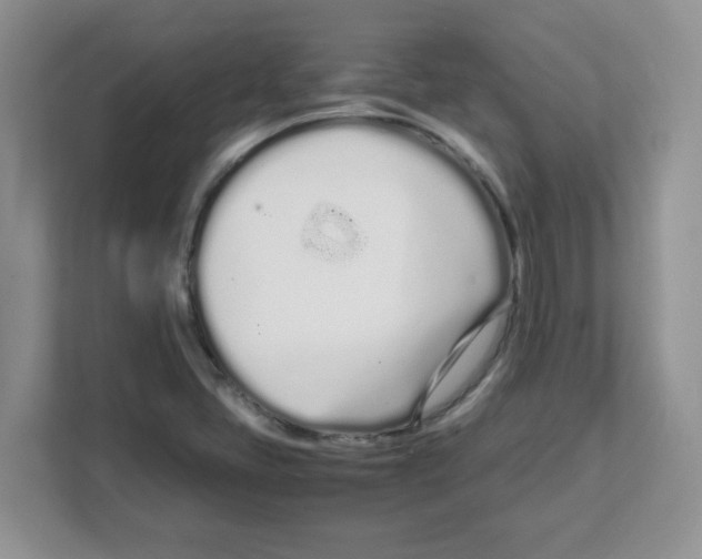 X0000108481405200905011152