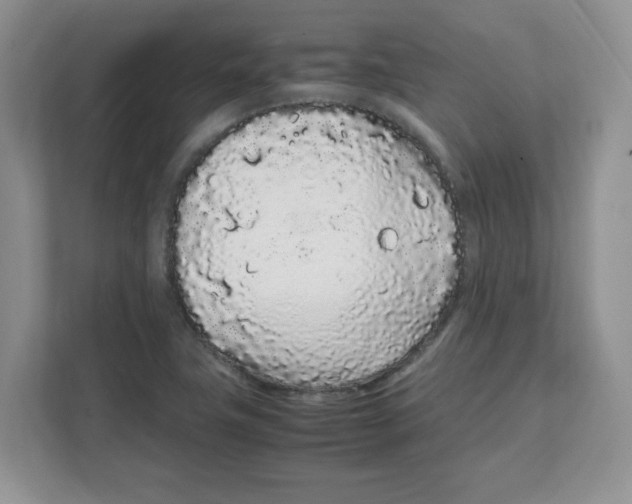 X0000108481411200905011152