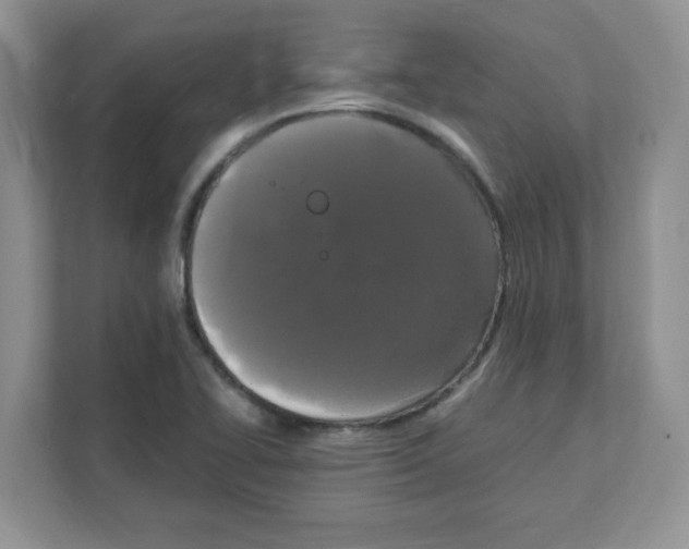 X0000108481414200905011152