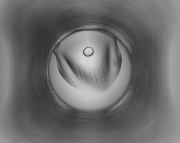 X0000108481417200905011152