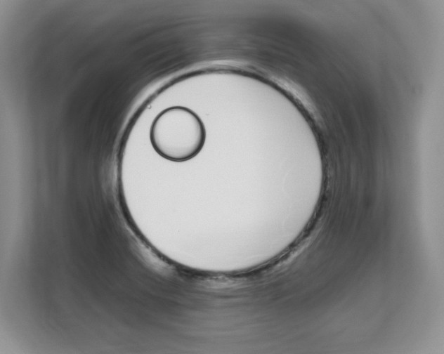 X0000108481420200905011152