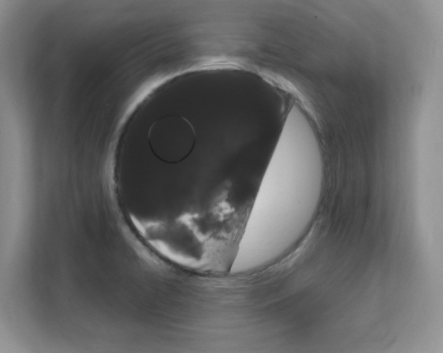 X0000108481422200905011152