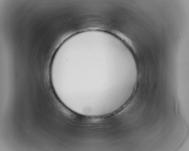 X0000108481423200905011152