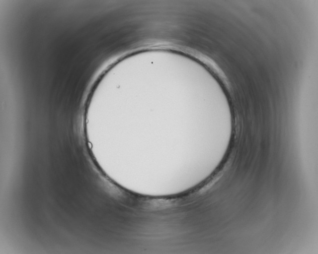 X0000108481424200905011152
