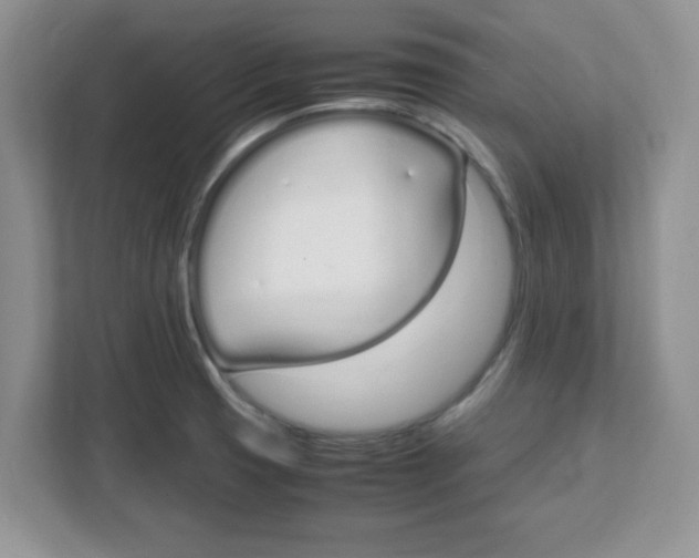 X0000108481425200905011152