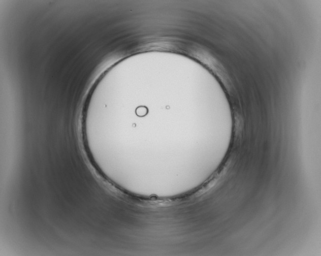X0000108481426200905011152