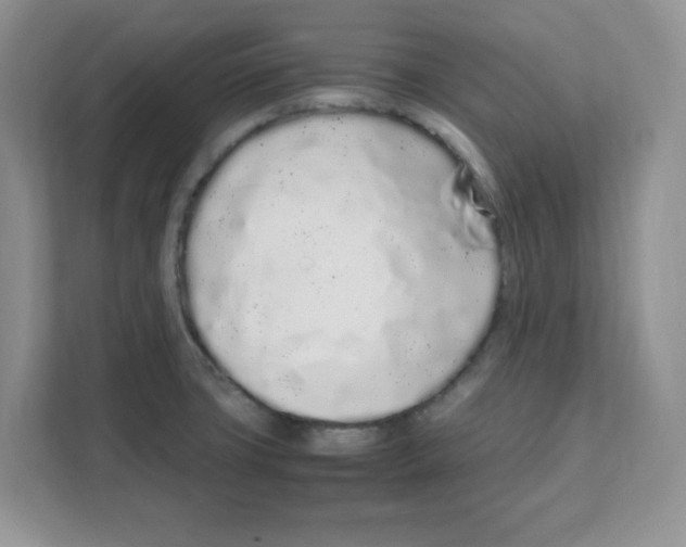 X0000108481427200905011152