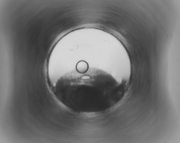 X0000108481428200905011152