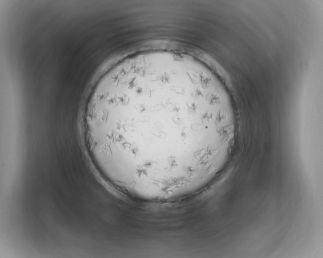 X0000108481429200905011152