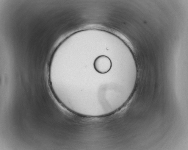 X0000108481430200905011152