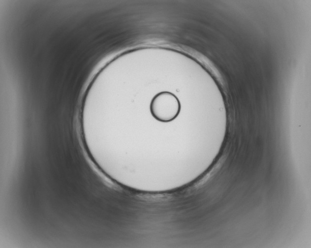 X0000108481432200905011152