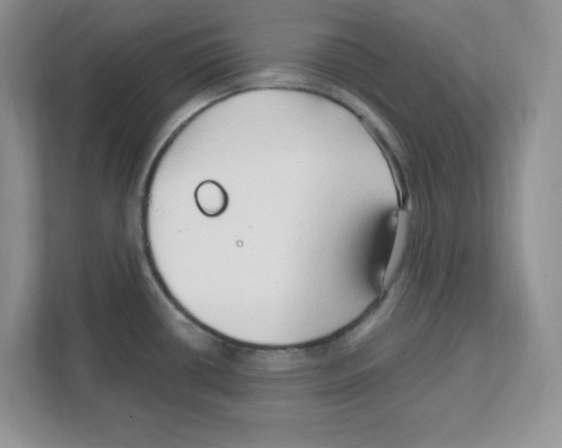 X0000108481434200905011152
