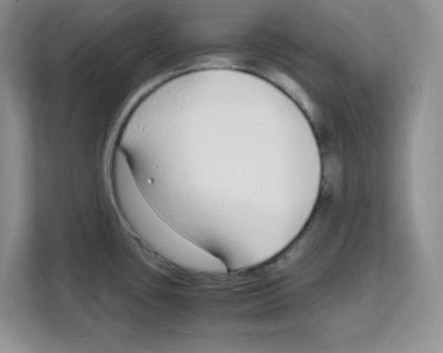 X0000108481435200905011152