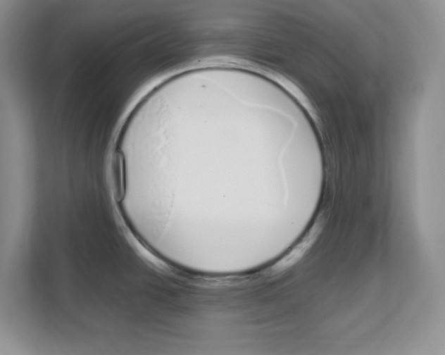 X0000108481438200905011152