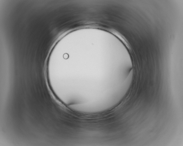 X0000108481439200905011152