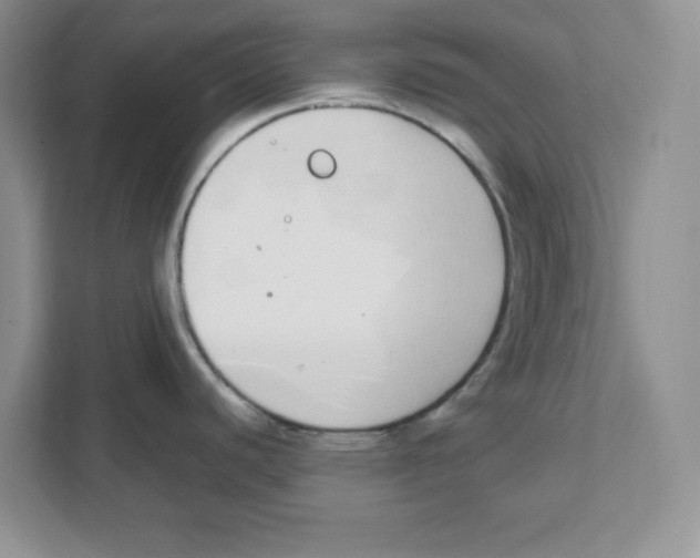 X0000108481440200905011152