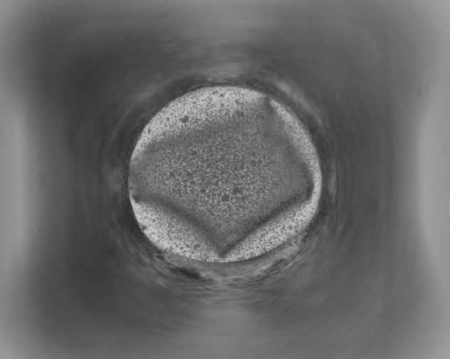 X0000108481445200905011152