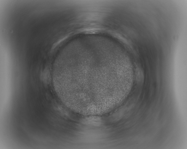 X0000108481446200905011152