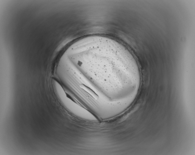 X0000108481453200905011152