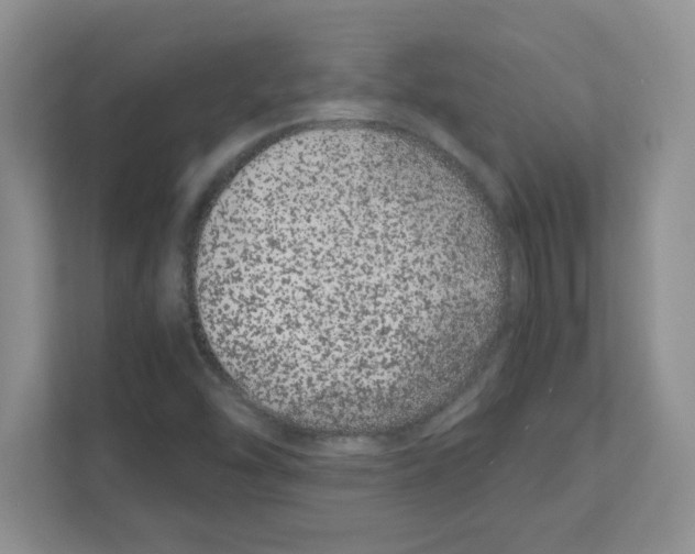 X0000108481454200905011152