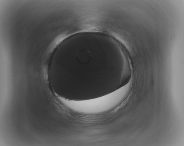 X0000108481455200905011152