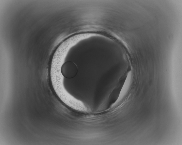 X0000108481459200905011152