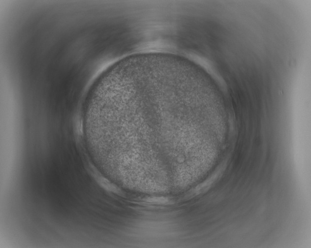 X0000108481462200905011152