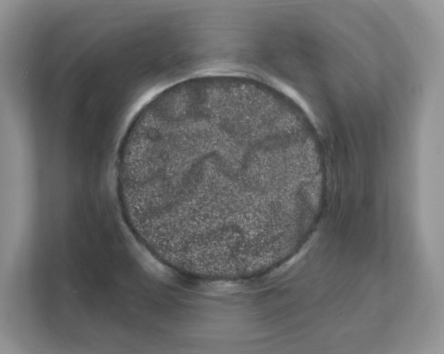X0000108481463200905011152