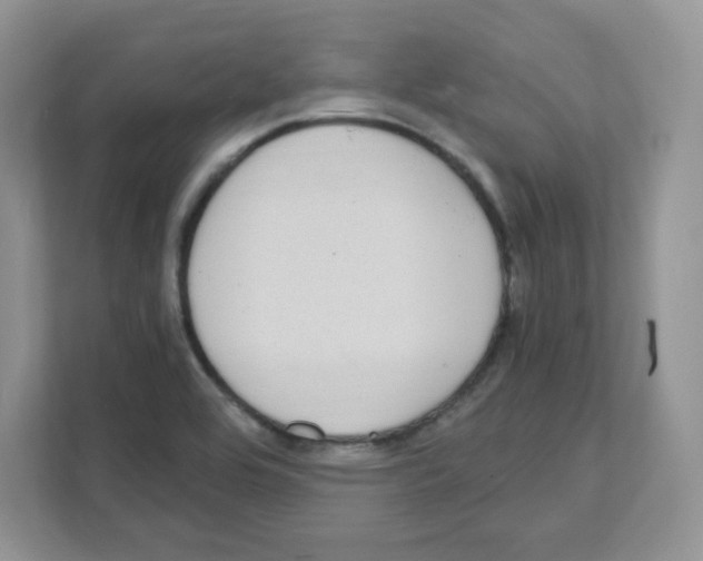 X0000108481464200905011152