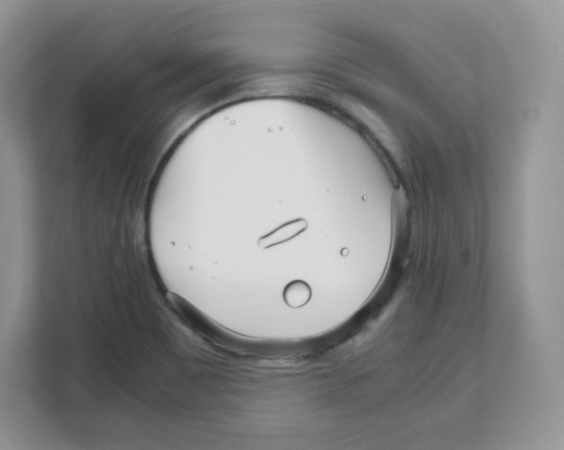 X0000108481465200905011152