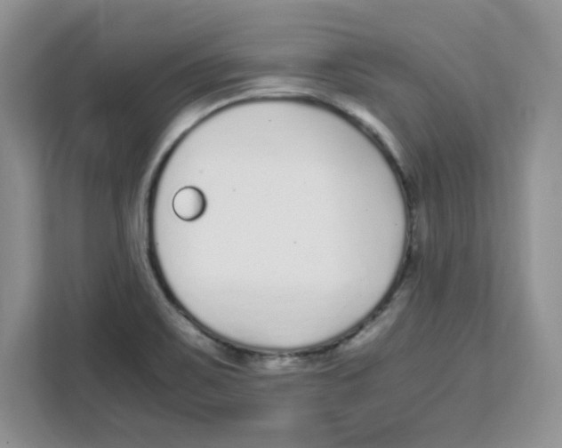 X0000108481467200905011152