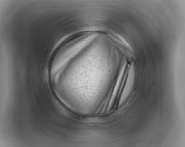 X0000108481468200905011152