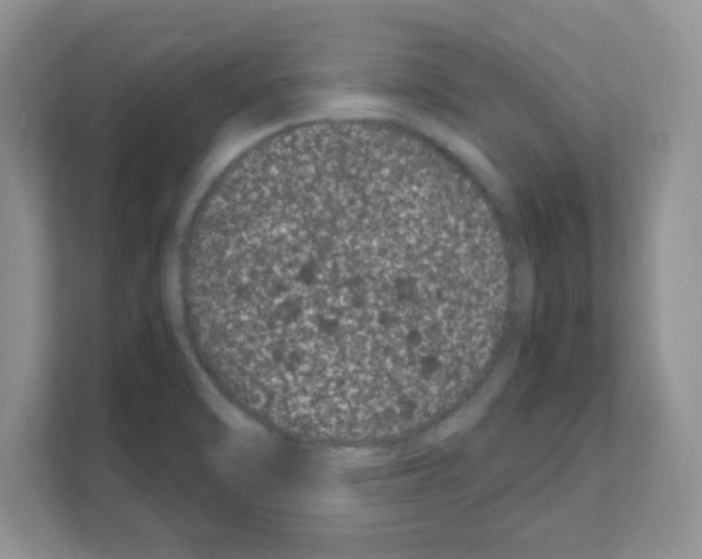 X0000108481470200905011152