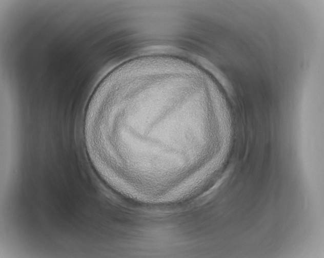 X0000108481473200905011151