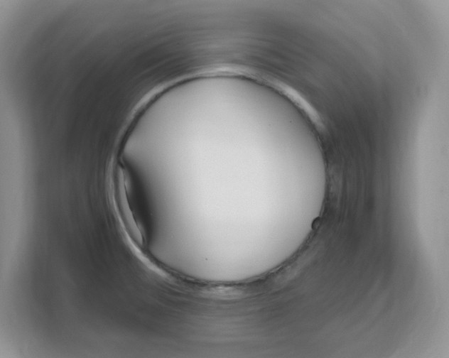 X0000108481476200905011151