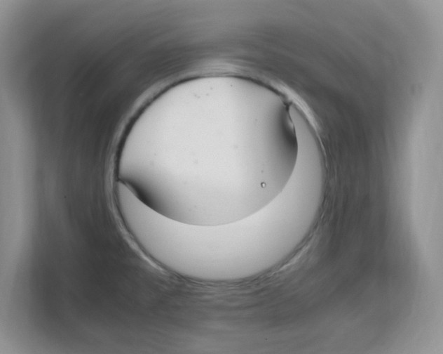 X0000108481477200905011151