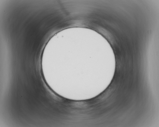 X0000108481479200905011151