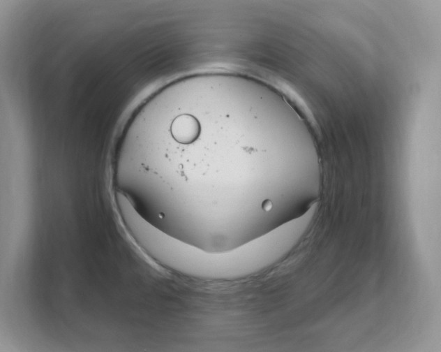 X0000108481480200905011151