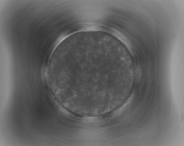 X0000108481481200905011151