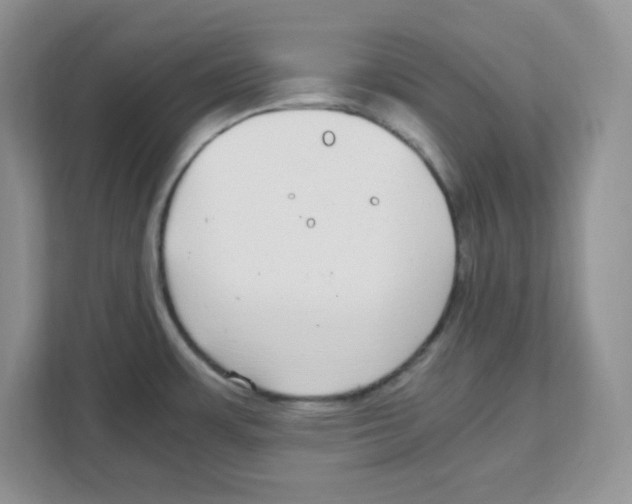 X0000108481483200905011151