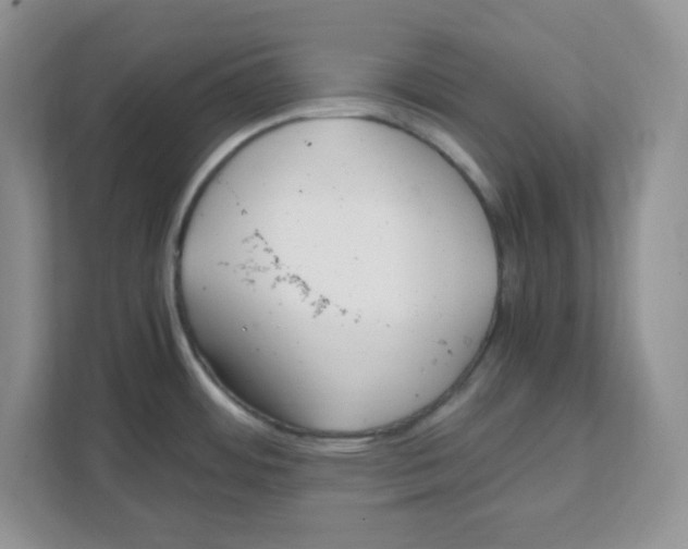X0000108481484200905011151